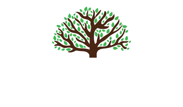 Branched Out Marketing